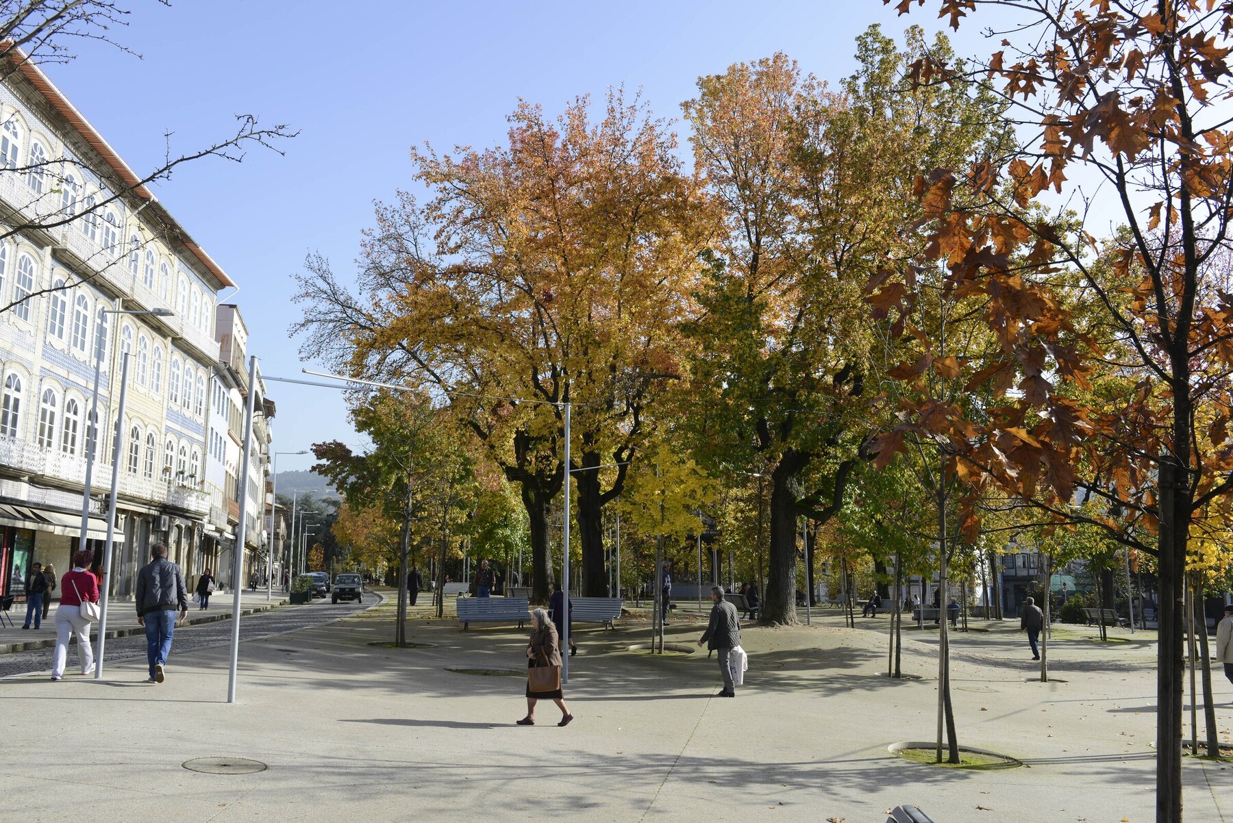 Árvores em tons de outono em Guimarães